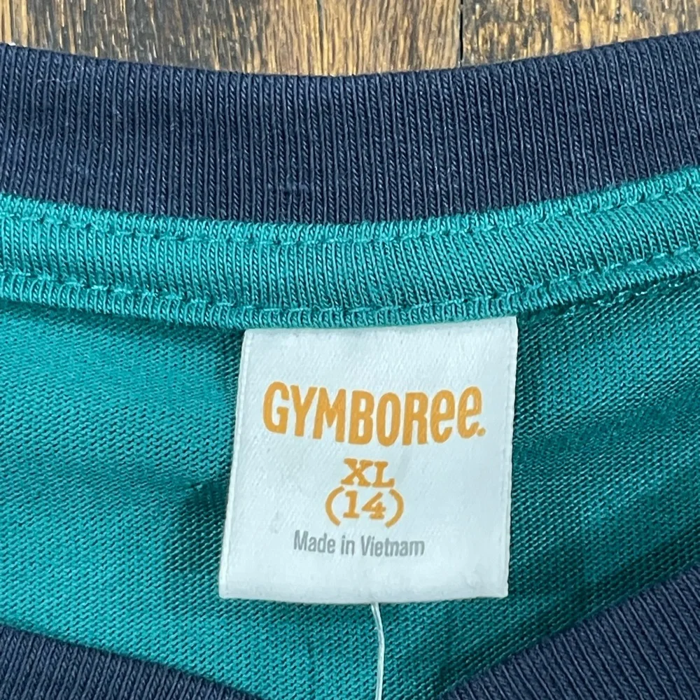 Gymboree Teal Long Sleeve Shirt with Stripes size 14